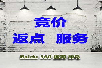 某企业通过百度SEM实现ROI最大化的案例